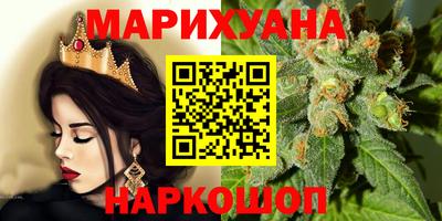 бошки Шелехов