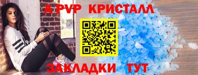 бошки Шелехов
