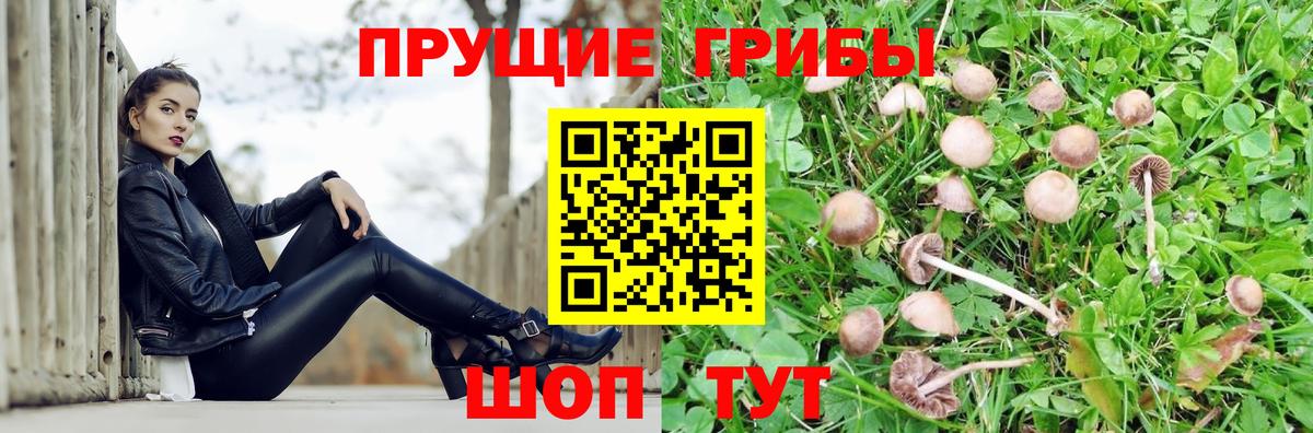Набережные Челны  Галлюциногенные грибы Psilocybe  Галлюциногенные грибы мухоморы  Вход с VPN 